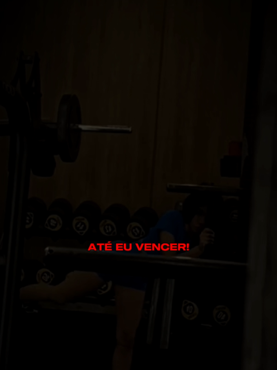 @Mariana Almeida