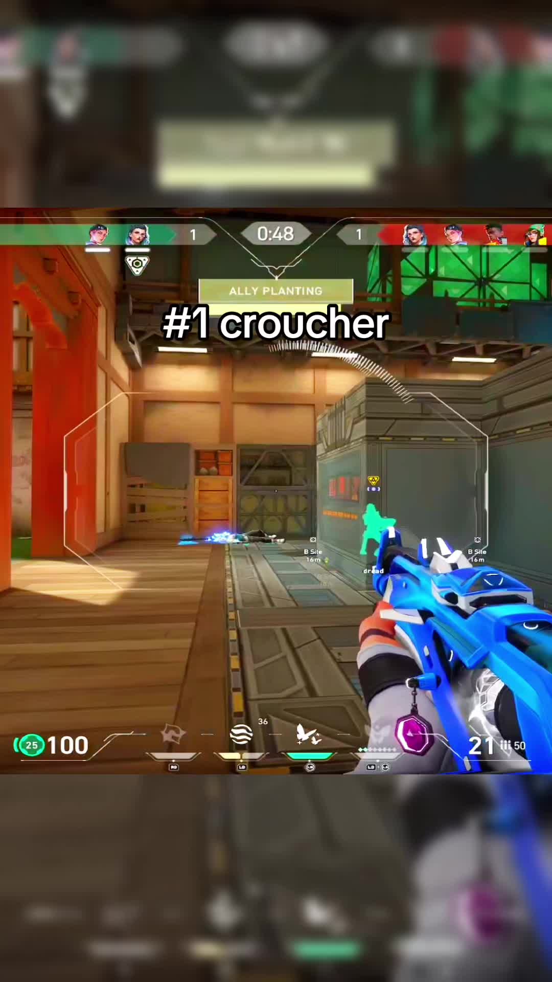 @verxz