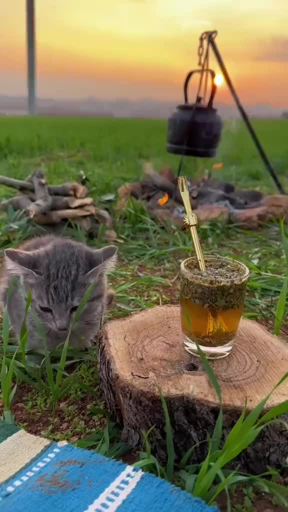 @Расулбек