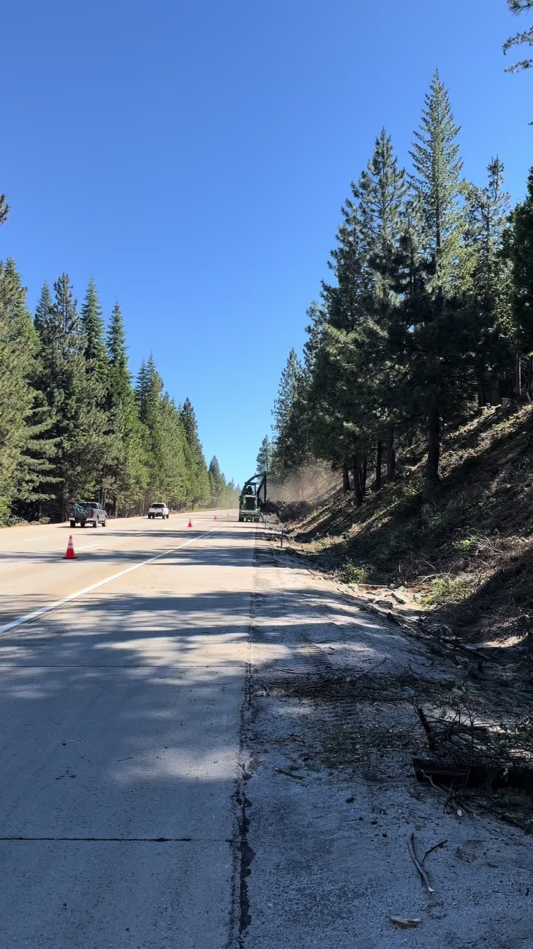 @Ariel villatoro 🌲🪵