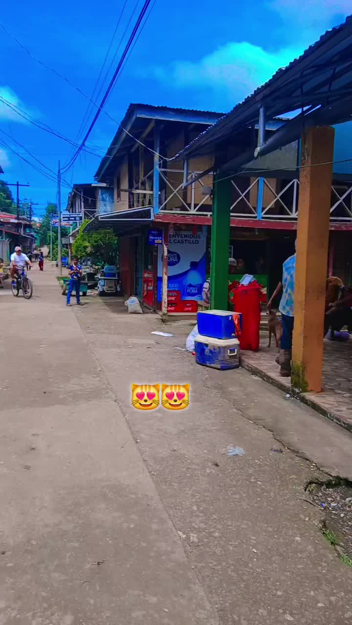 @Wilmara Rios
