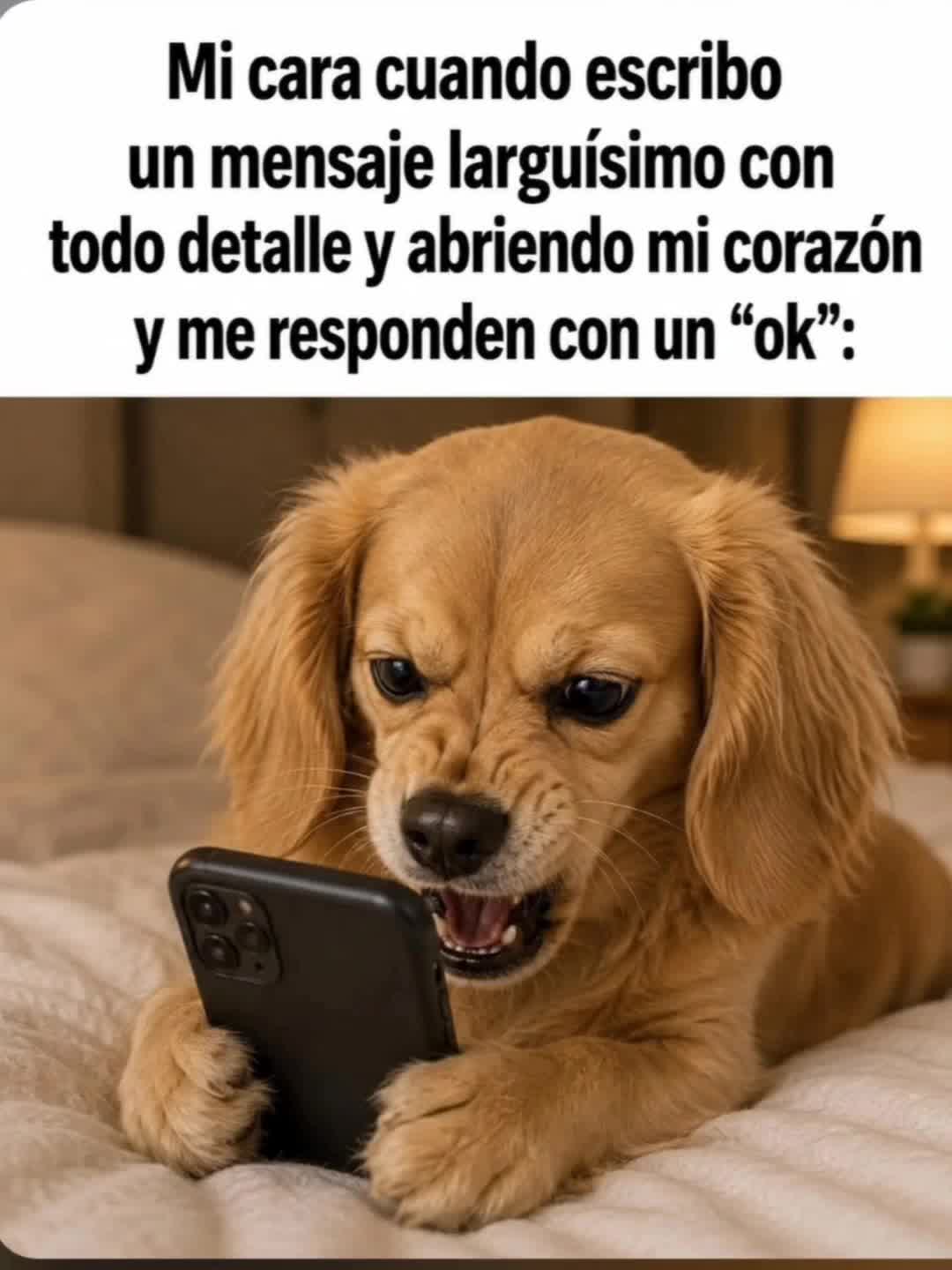@el panda solitario