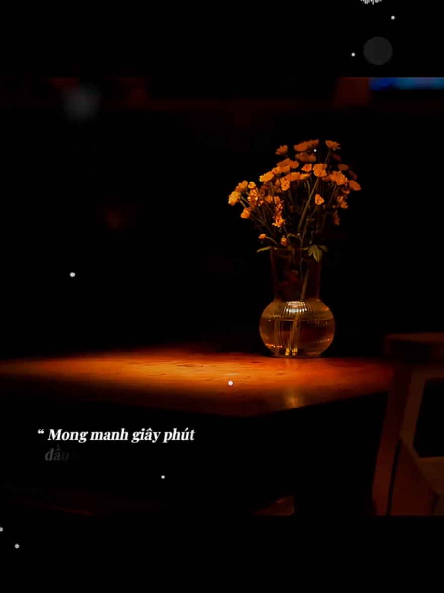 @🎶Góc Phố Âm Nhạc 🇻🇳