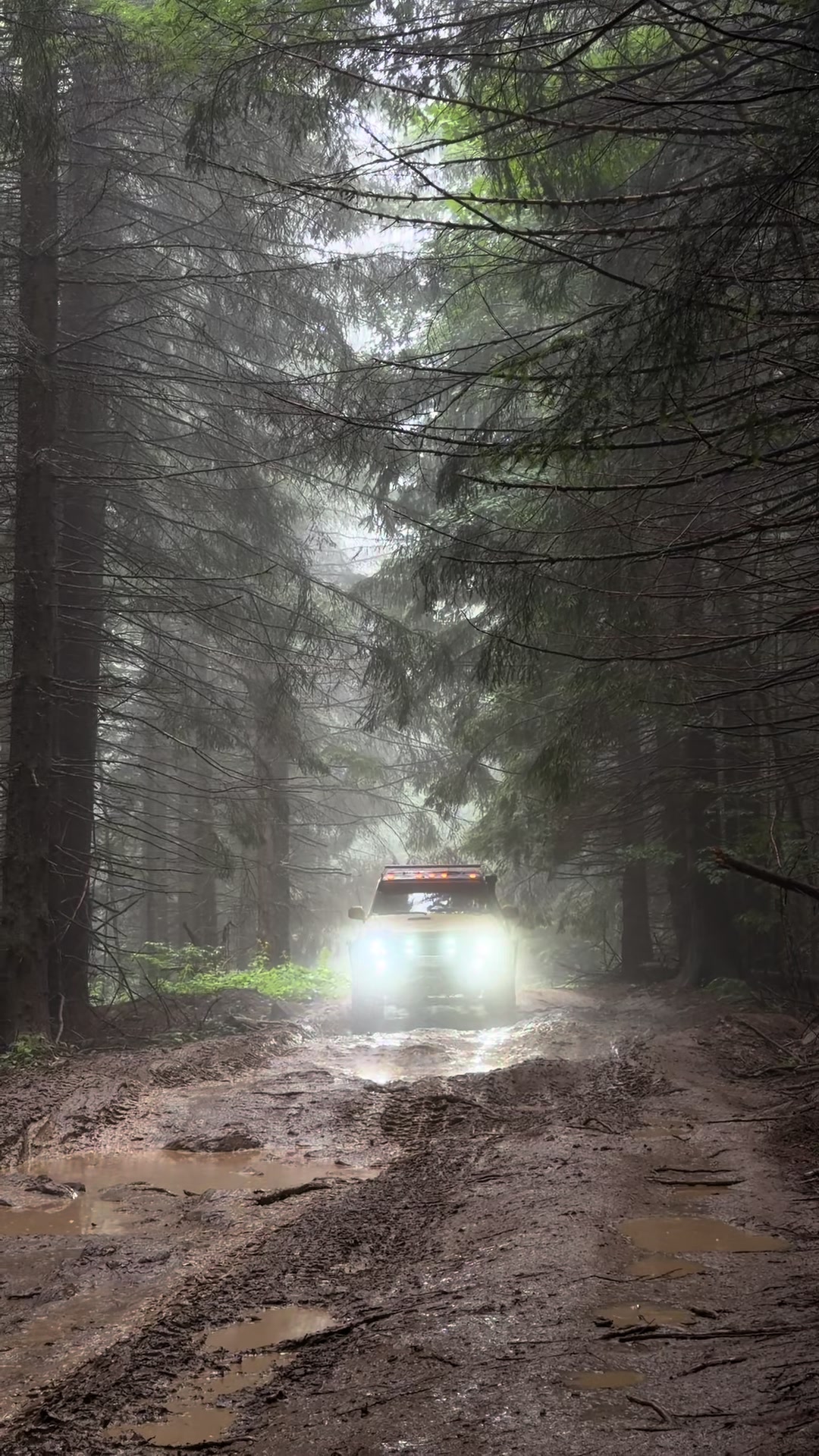 @bukovel_jeep_tour