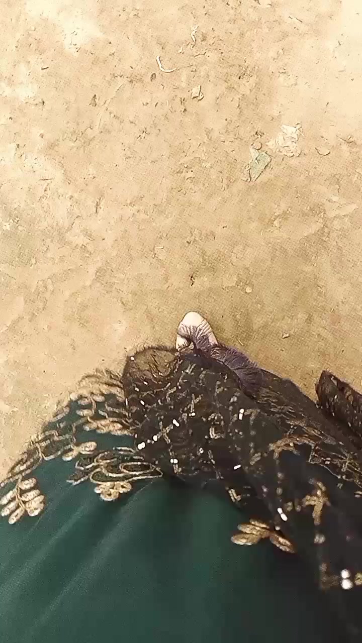@𝐁𝐮𝐭𝐭𝐞𝐫𝐟𝐥𝐲 𝐌𝐨𝐨𝐧🦋