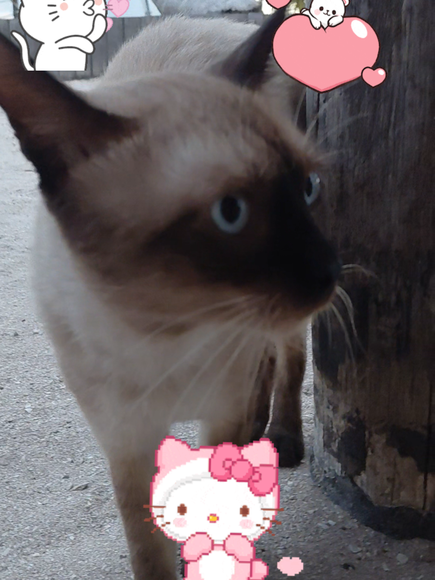 @Yolis73💕