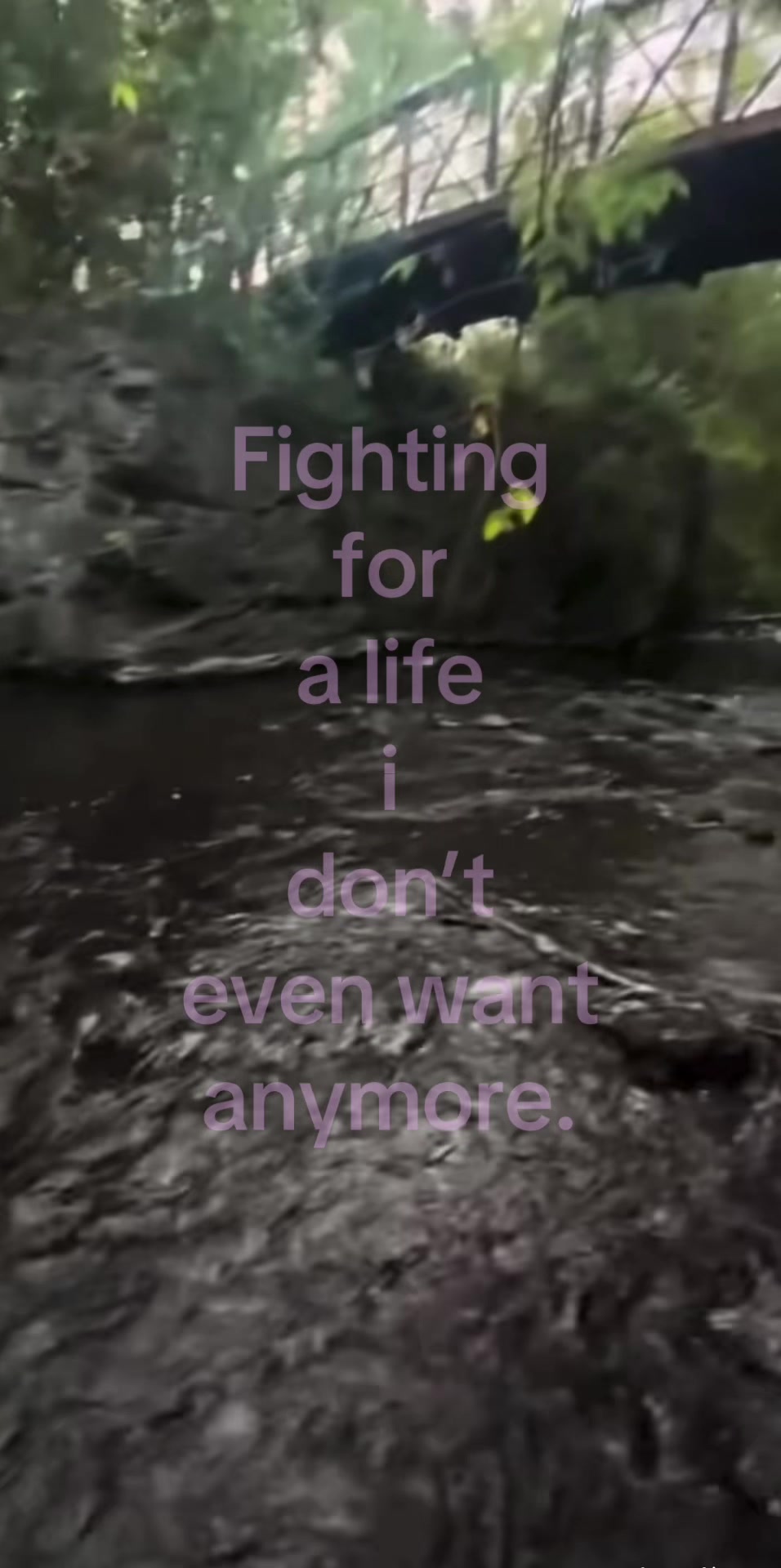@🦓