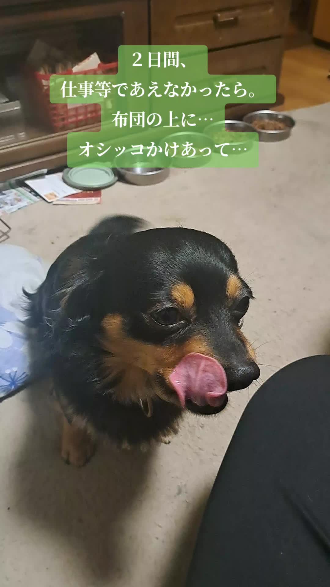 @タケヤッコ