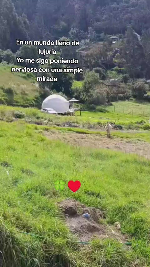 @Jessica Godoy