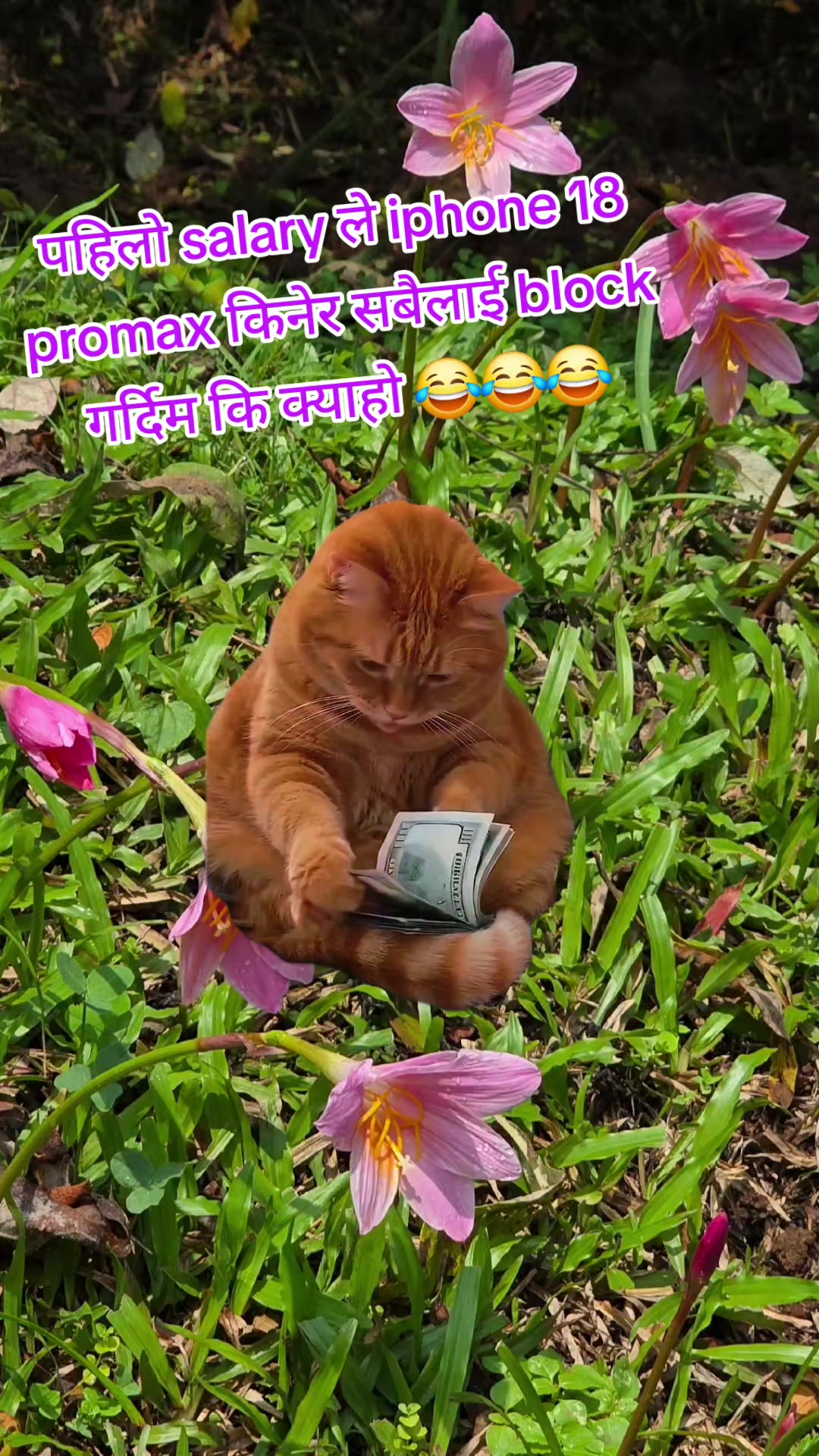 @Divyansh❤️🕊️🌏️
