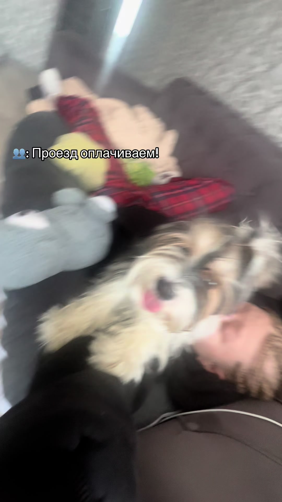 @Ведьма❤️