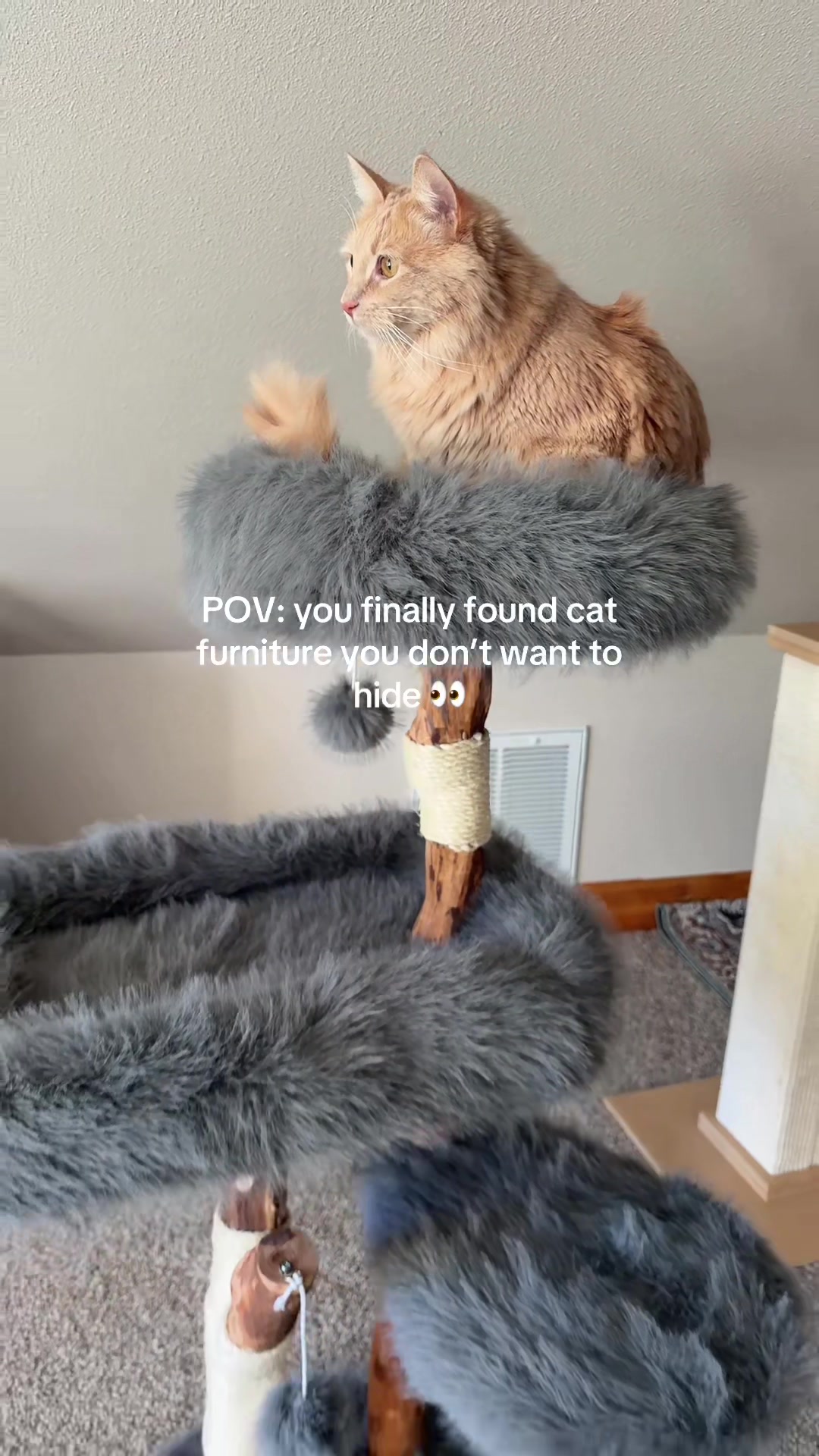 @Velvet Paws