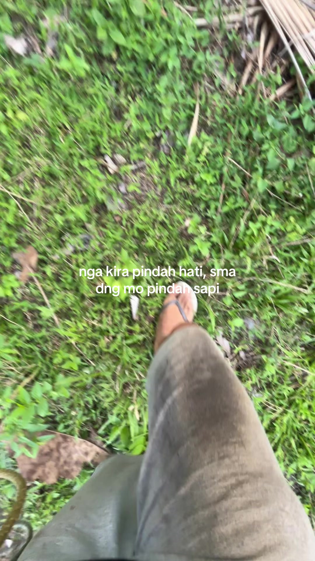 @youknowshii🇧🇷