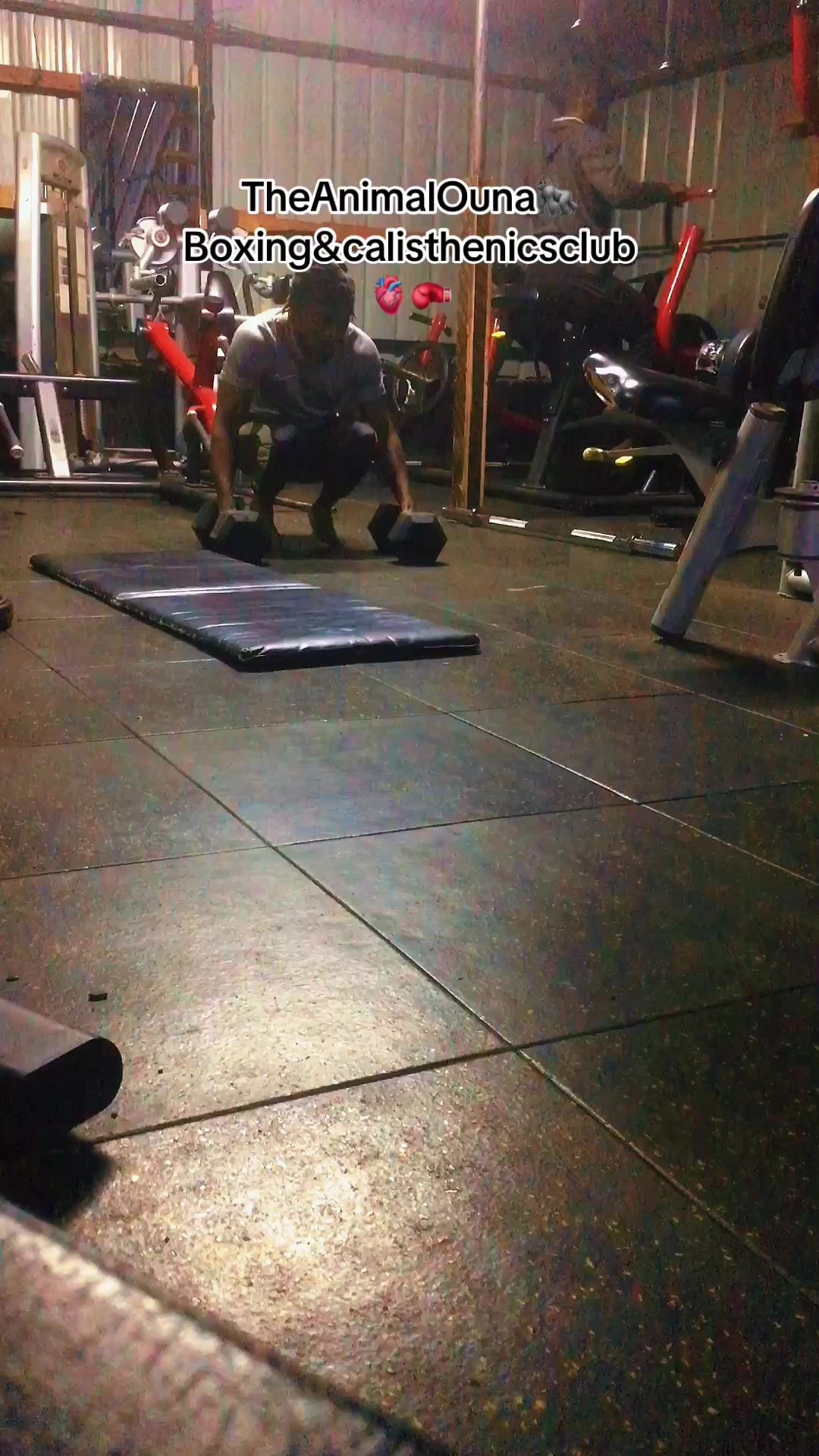 @TheAnimalOuna🦍&hellip;