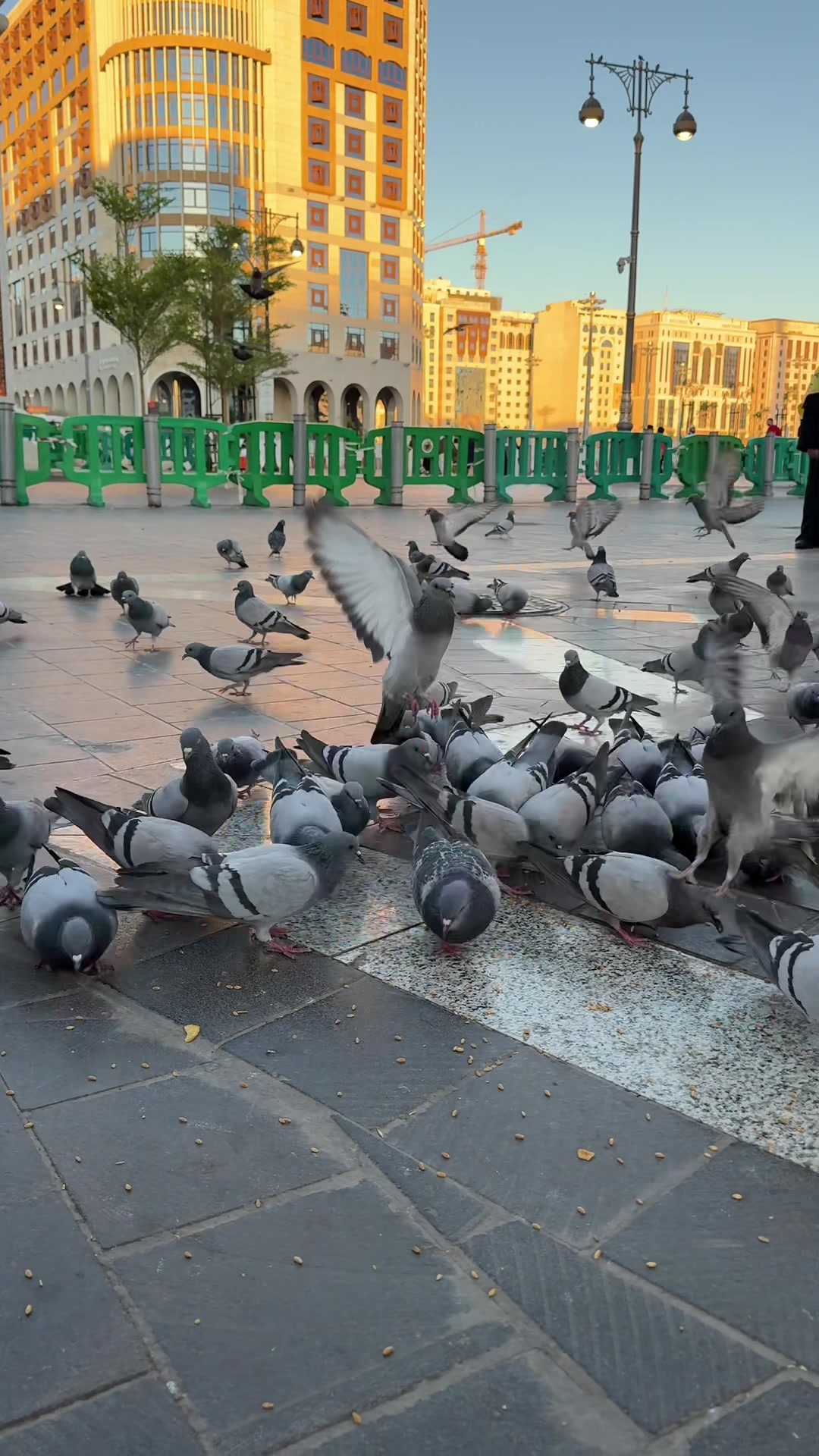 @تركي رزوق