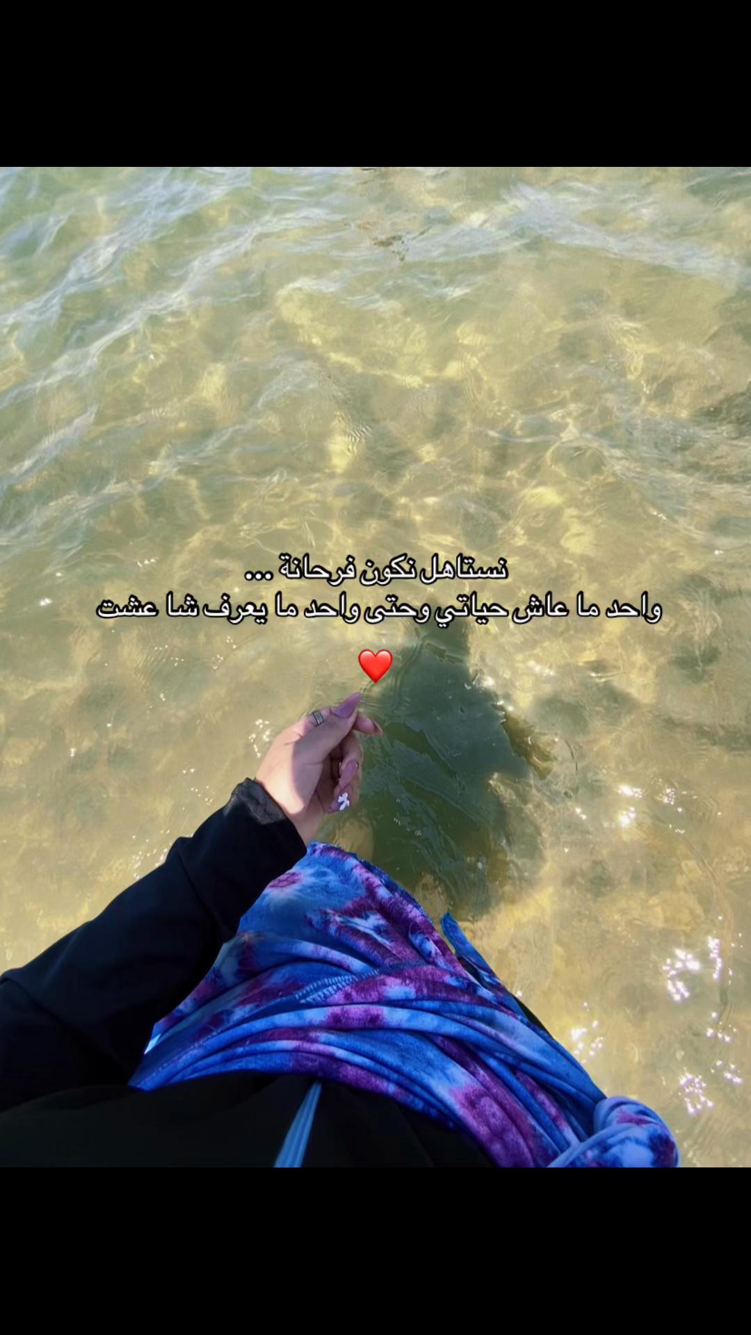 @🕊️