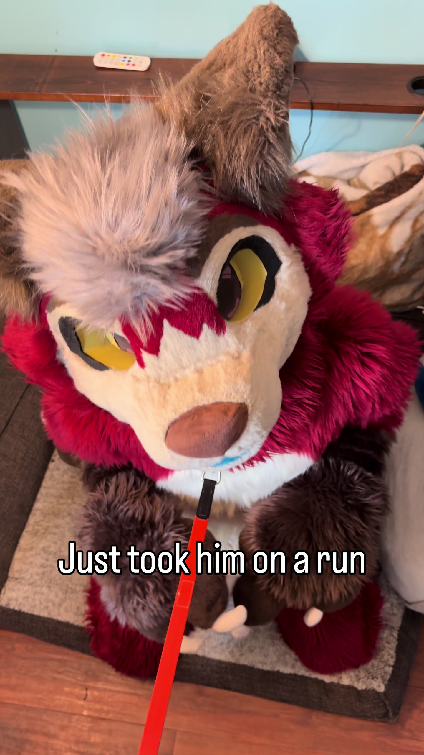 @Fry The Dumb Fox (Official)