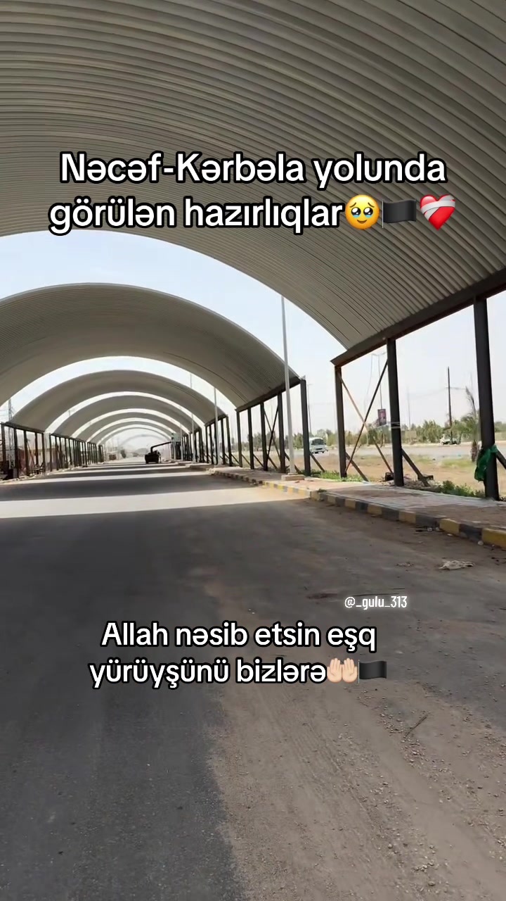 @_gulu_313