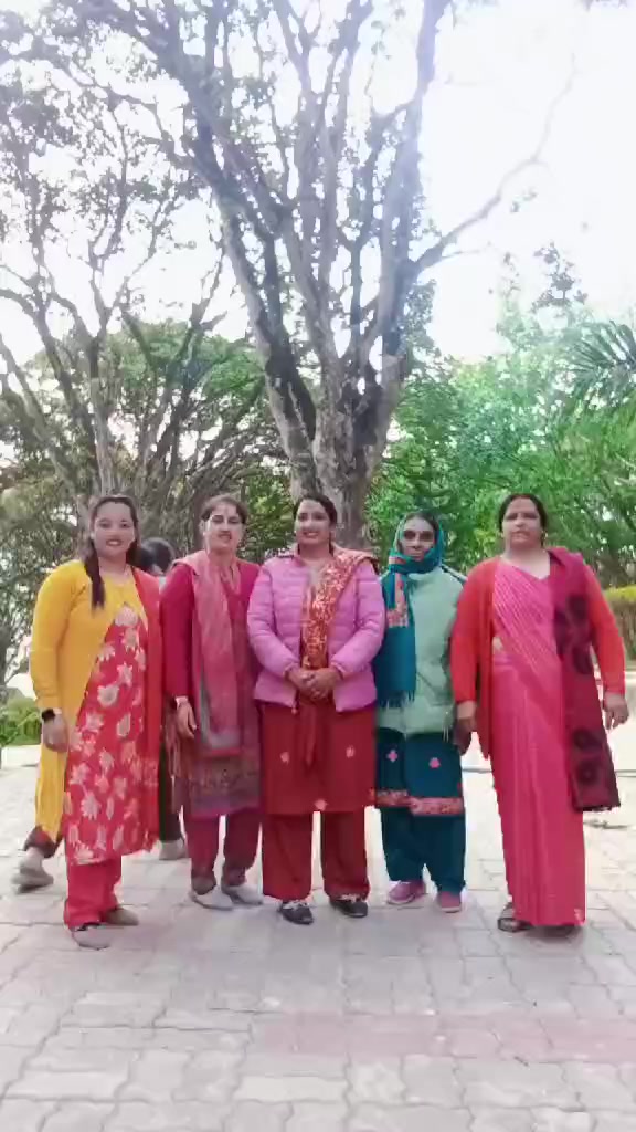 @bmk