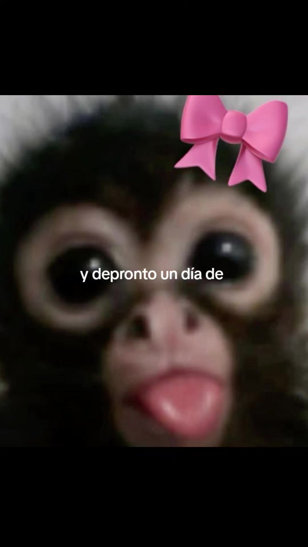 @Irais Isidro