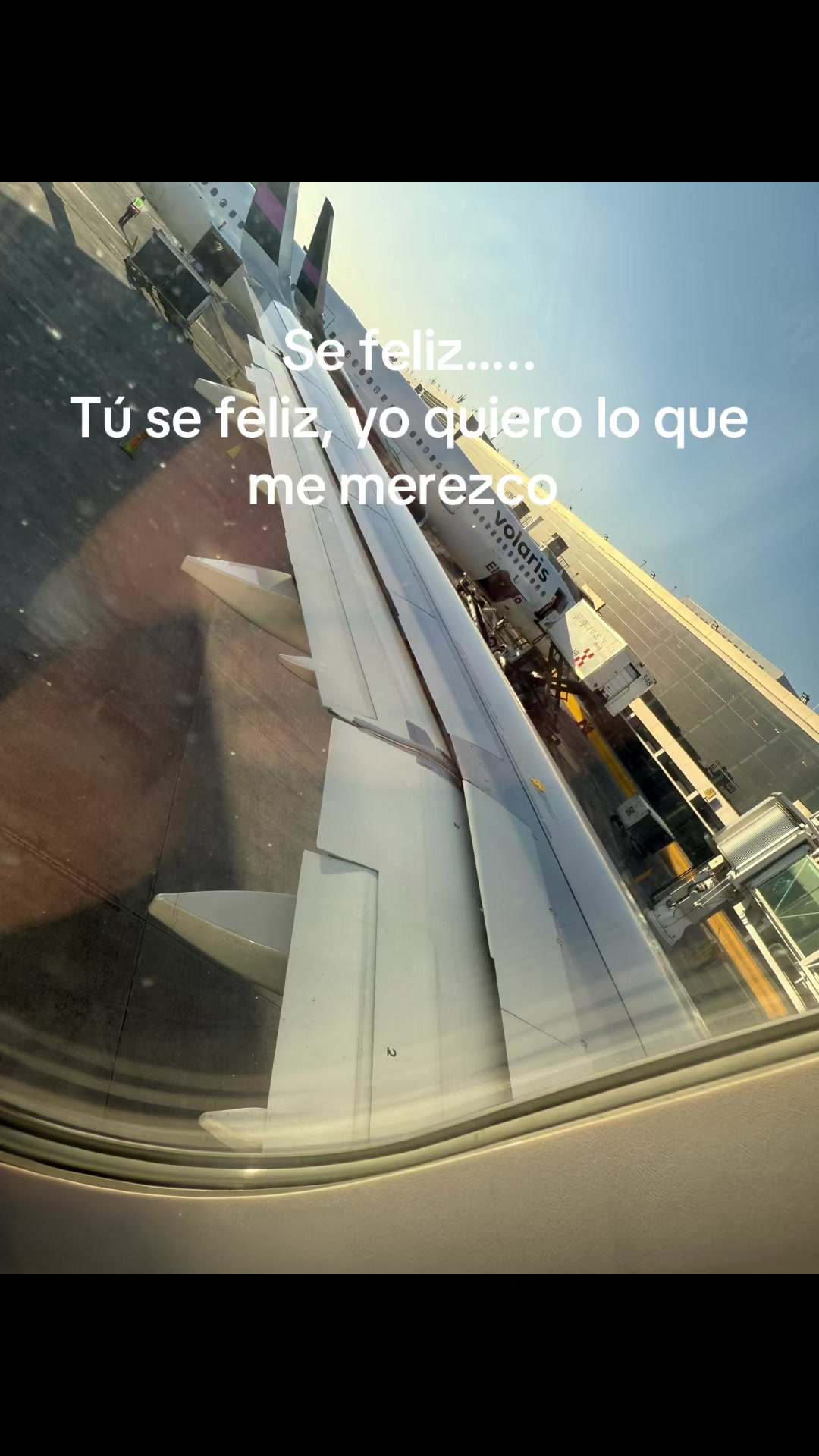@daniela gonzalez