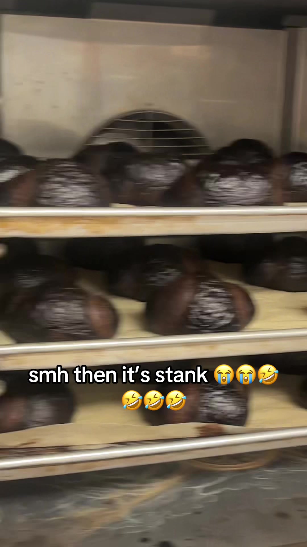 @alostgirl8822