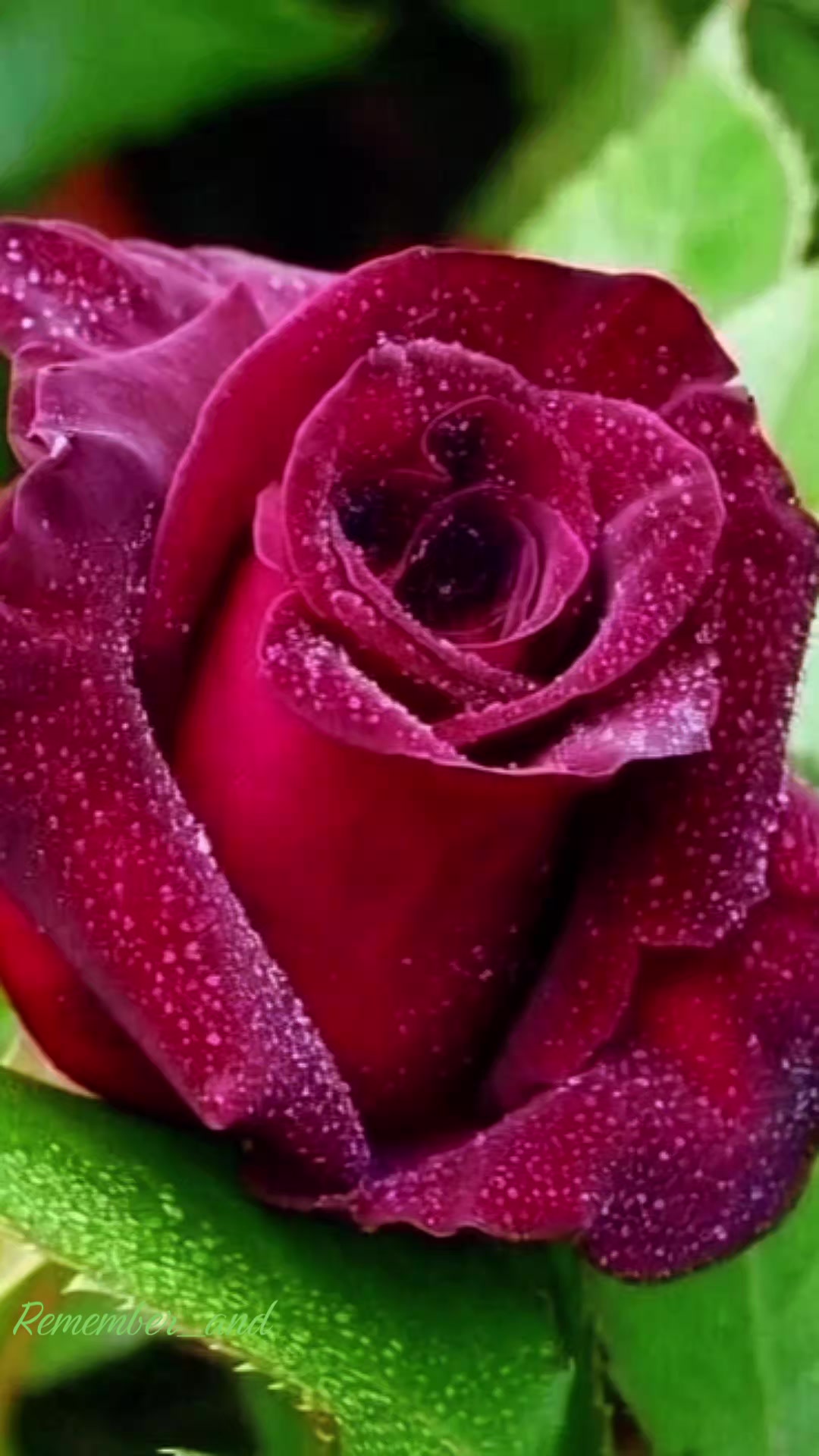 @Remember _ and
