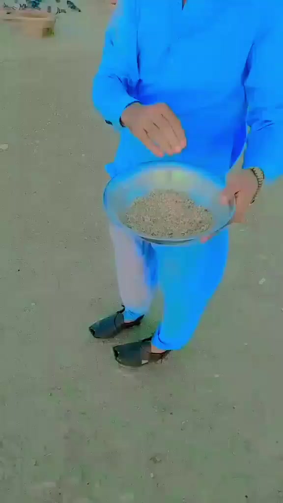 @jani oy