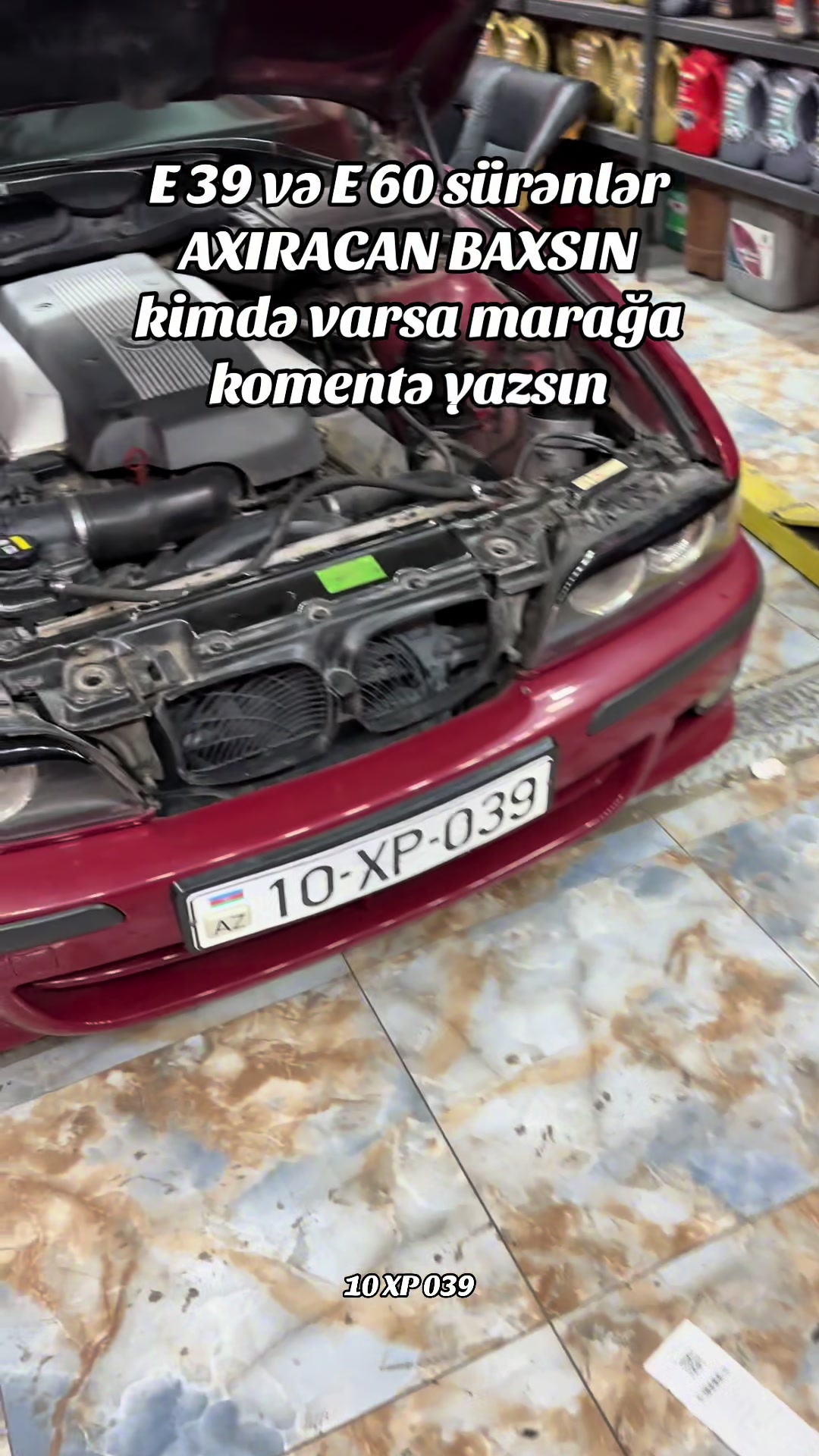 @ツ ΛLΙΞΝ ꪜ