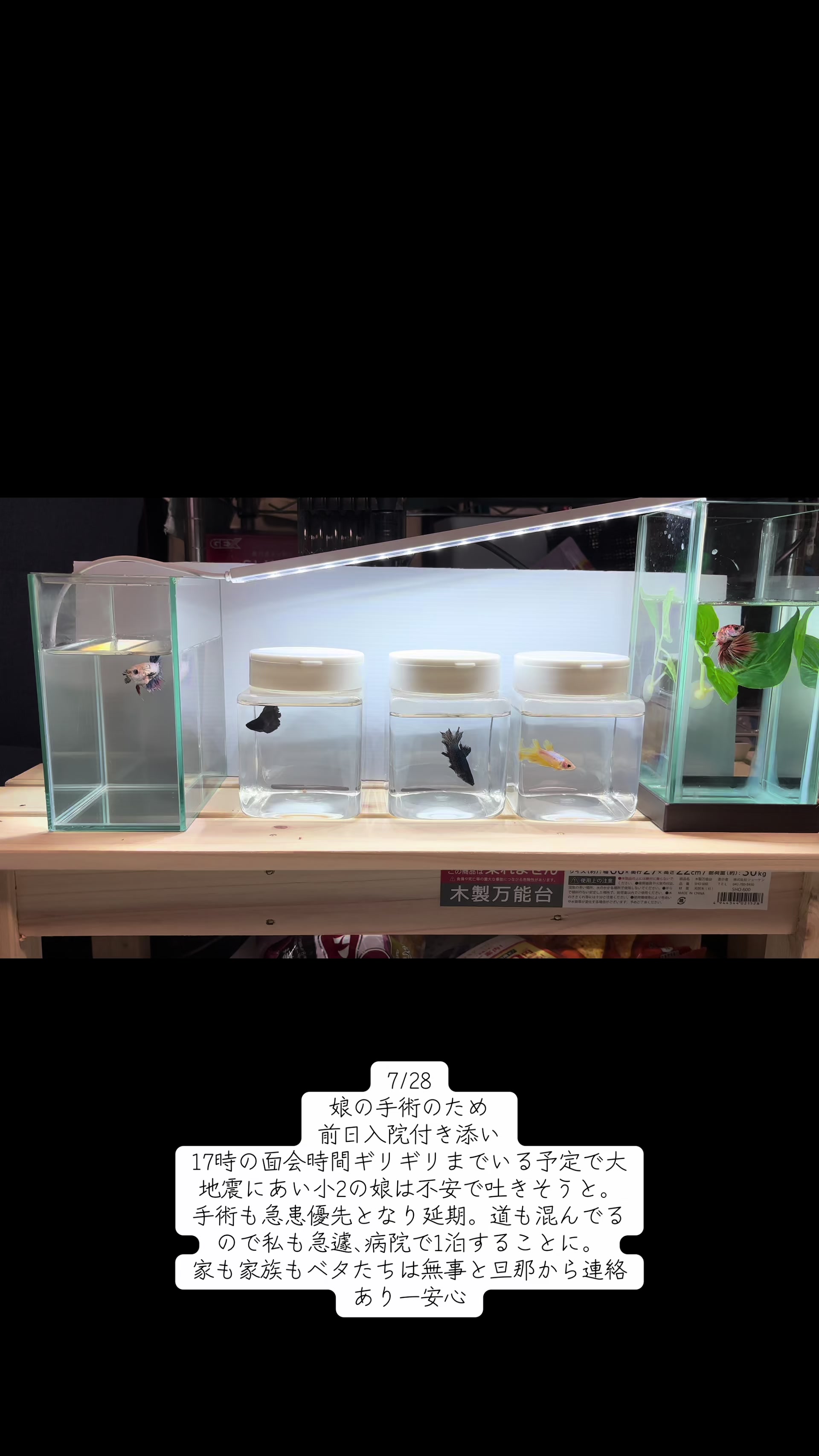 @ちあ🐠🫧