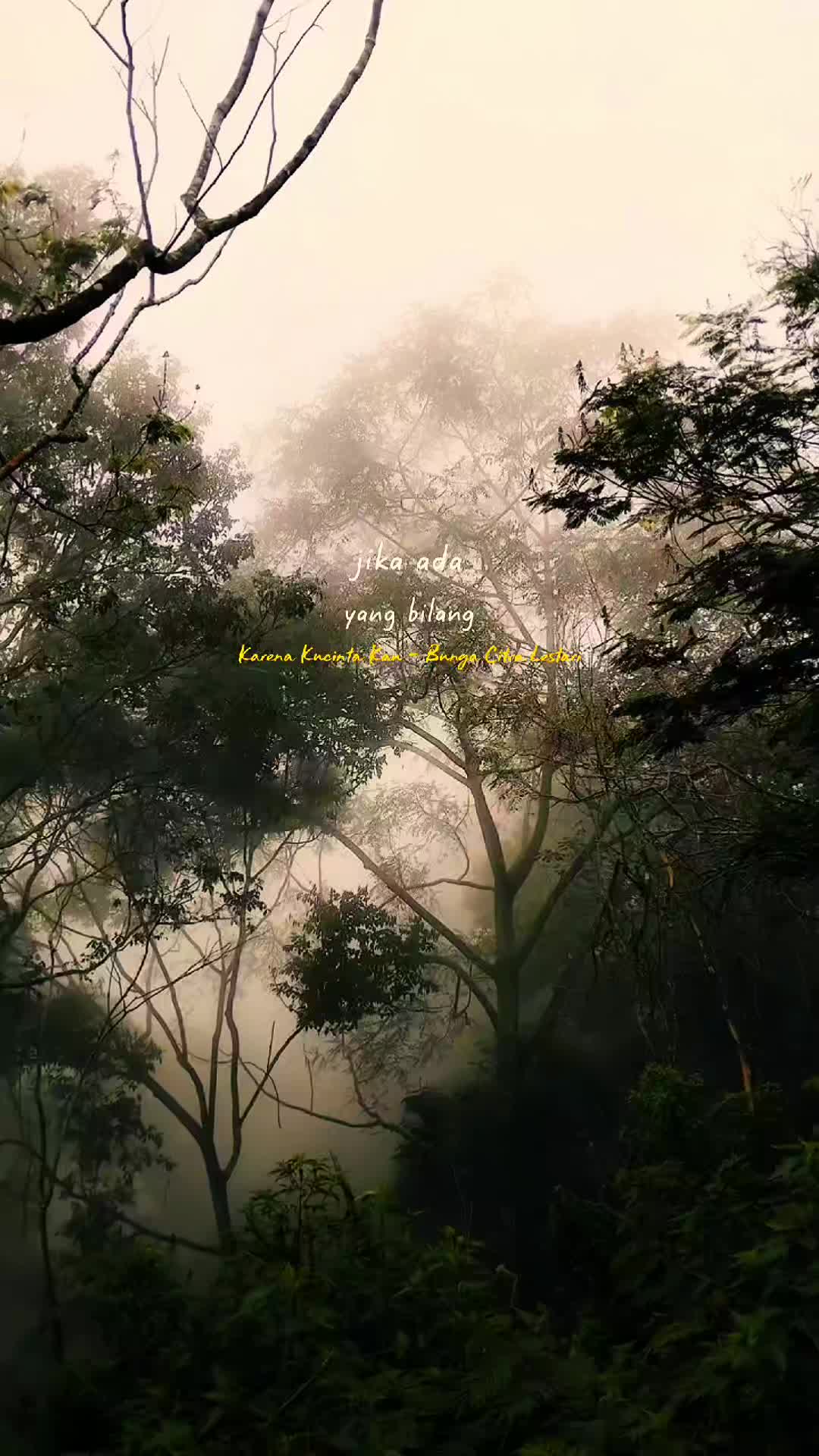 @inimusikku.id x Clip