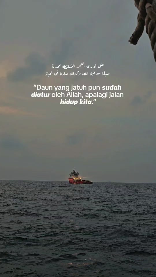 @De🆖️