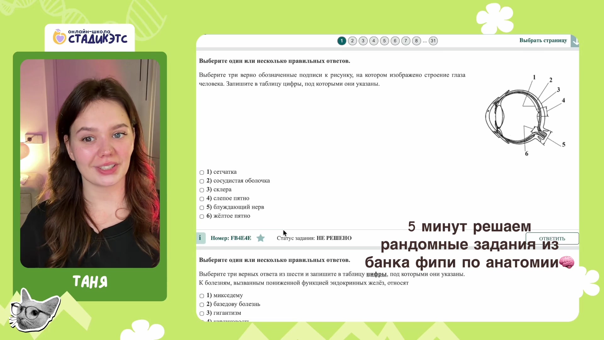 @таня | биология и котики | егэ