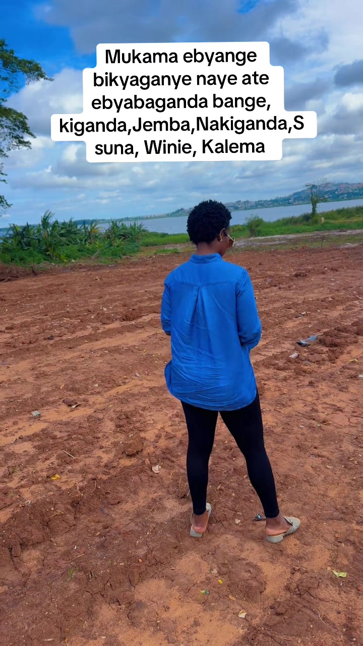 @shyllatLu