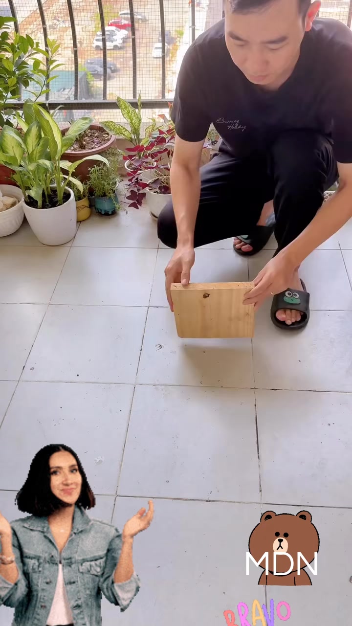 @MDN