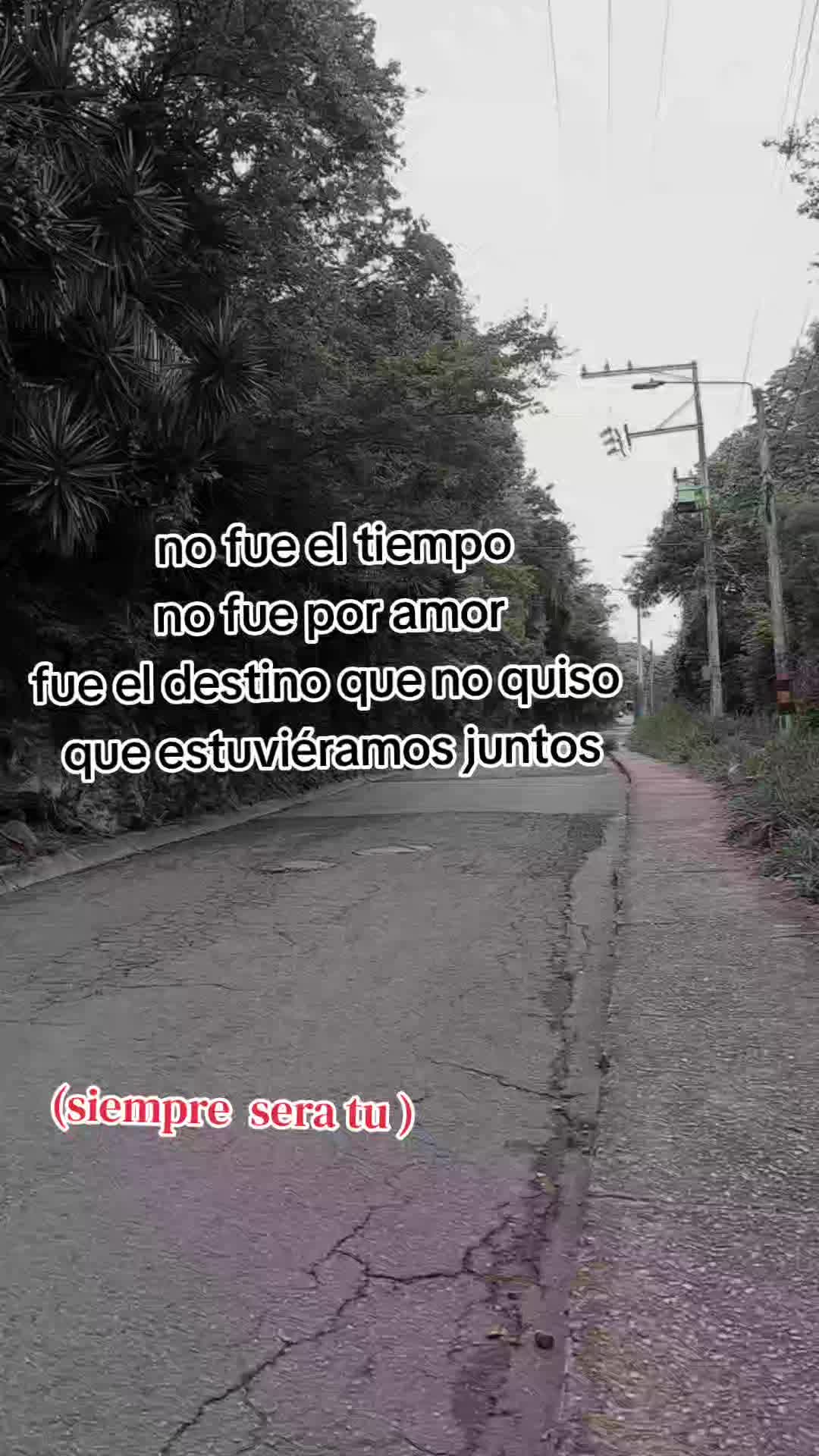 @Tawer