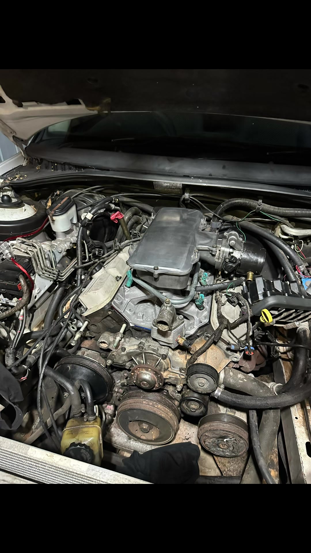 @5.0 litre statesman