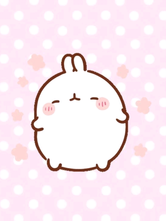 @˙ ◌˚ ୨ 𝓇ℯ𝒾 ˙ ୧ ˚◌ ˙