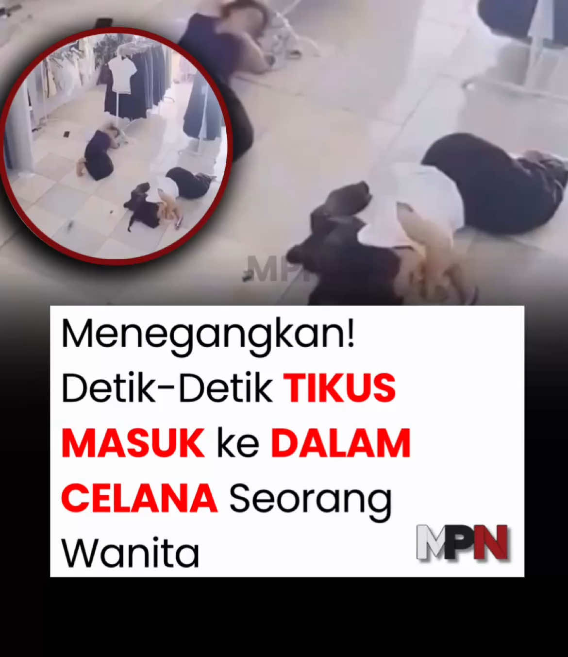 @mpnindonesia