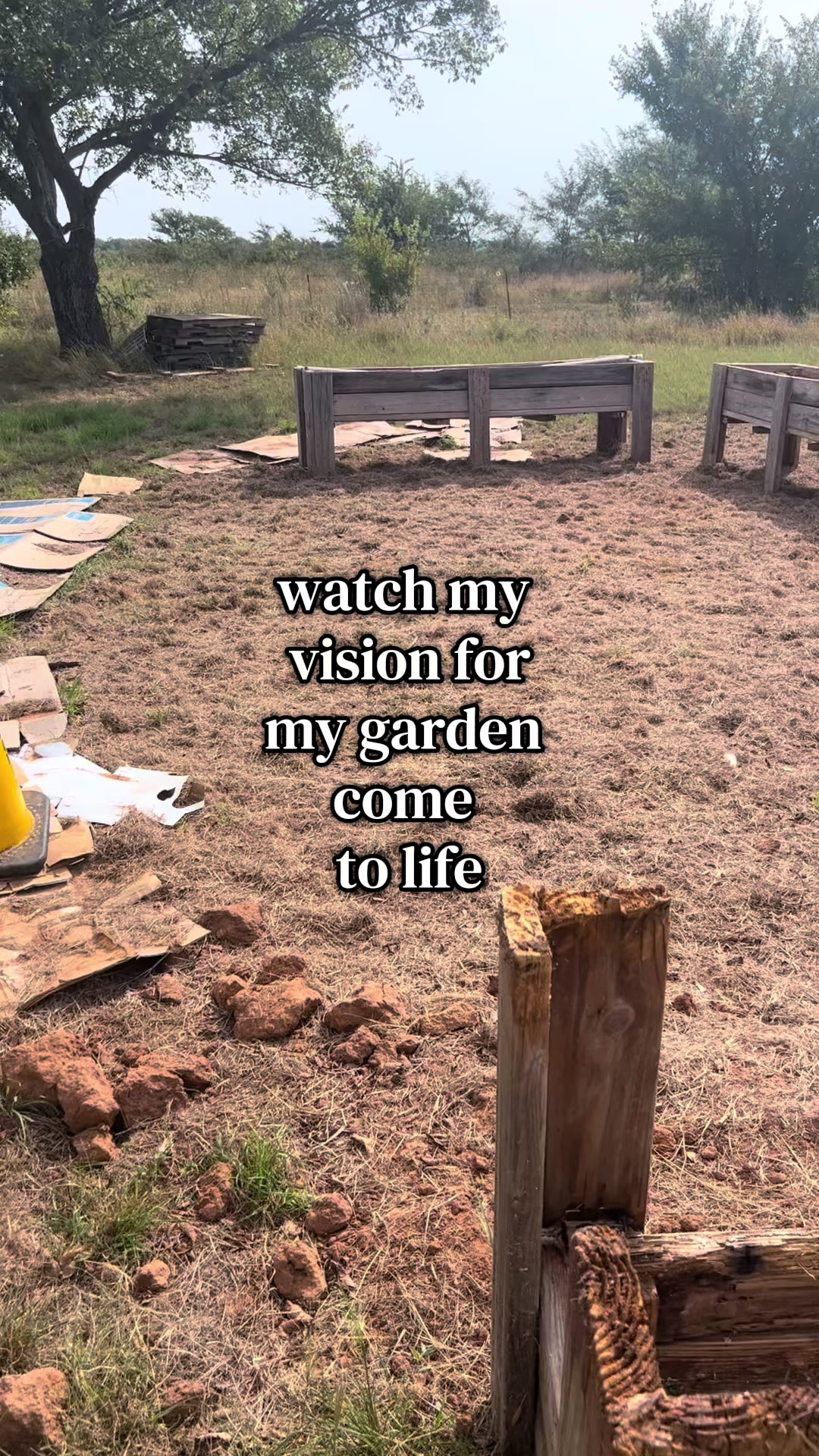 @Molloy Farmacy