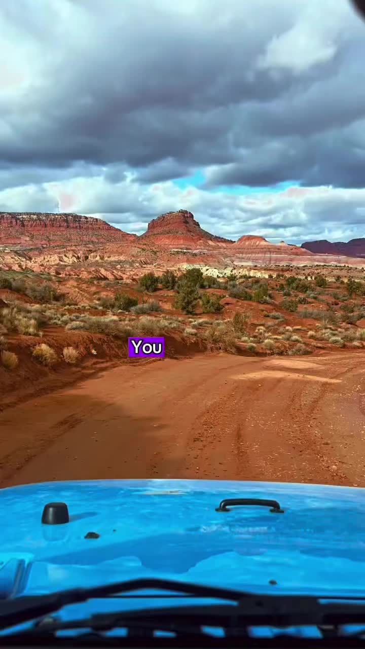@Silverfox_yota