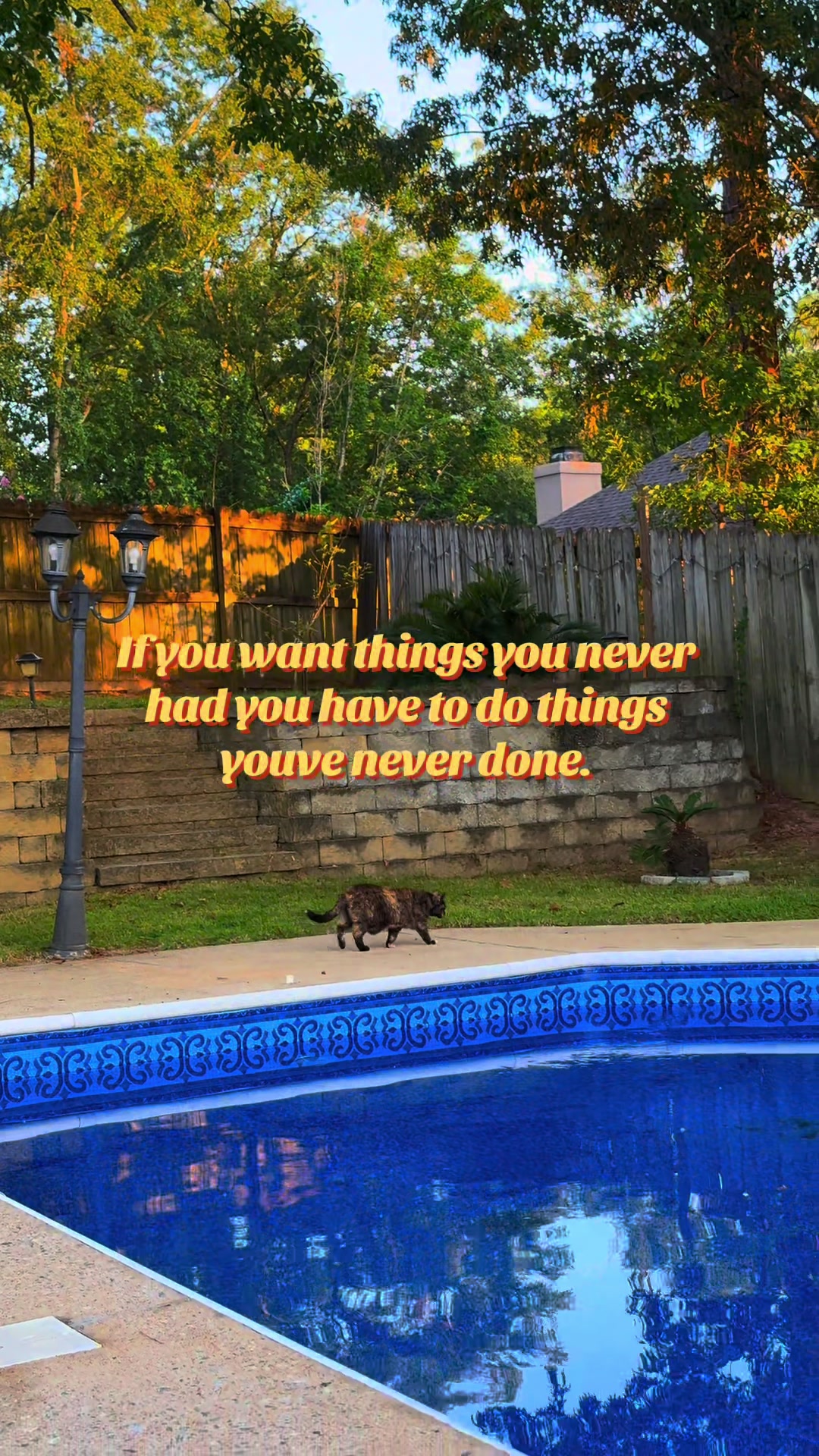 @Sarahsholistichealth