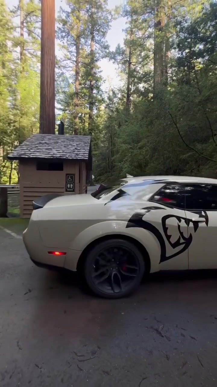 @Dodge Expert
