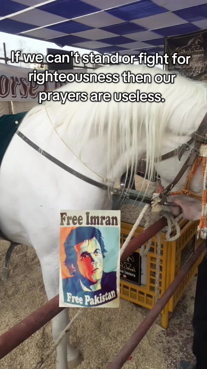 @Fisa Beznahej