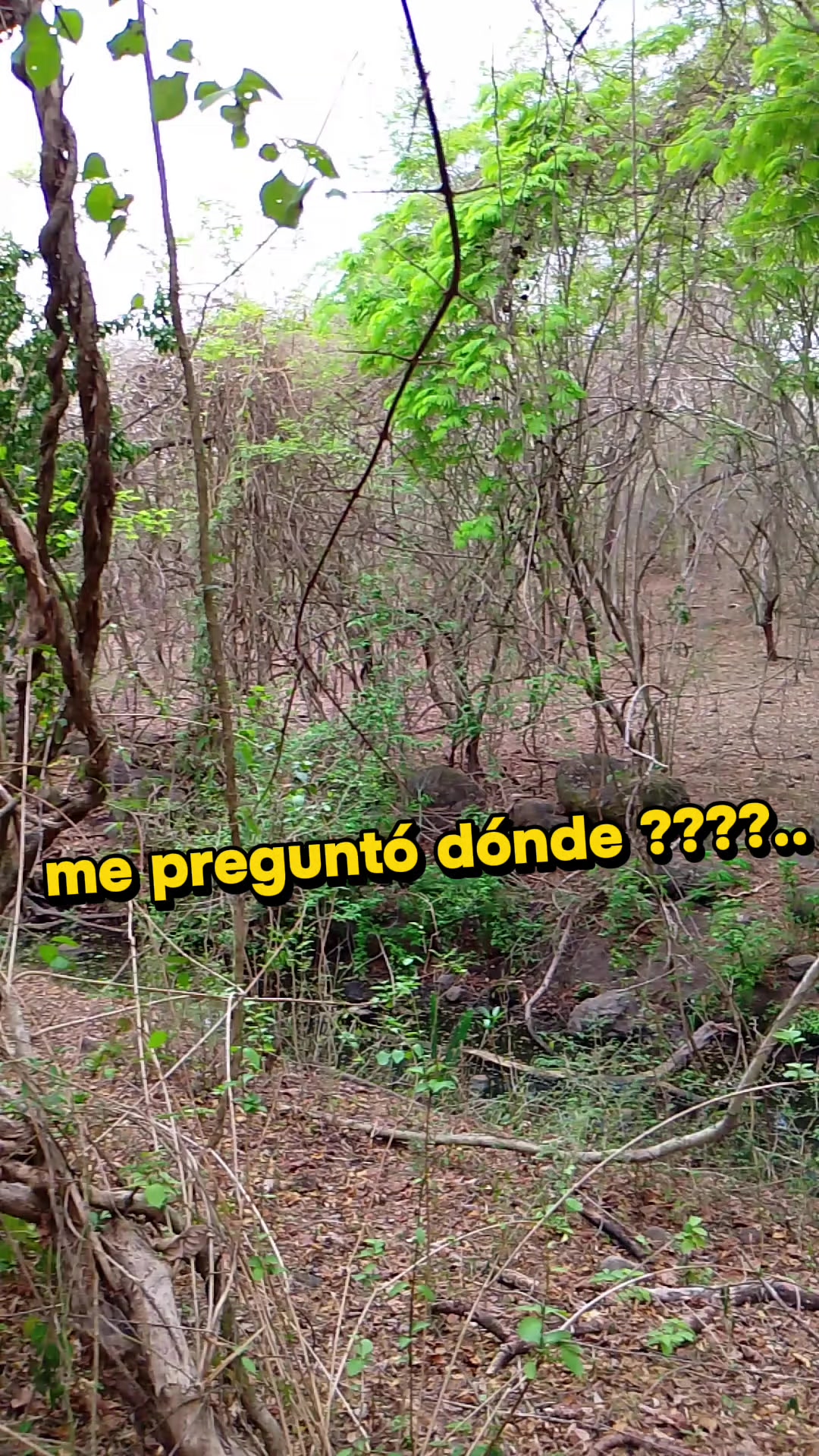 @Nina Reyna