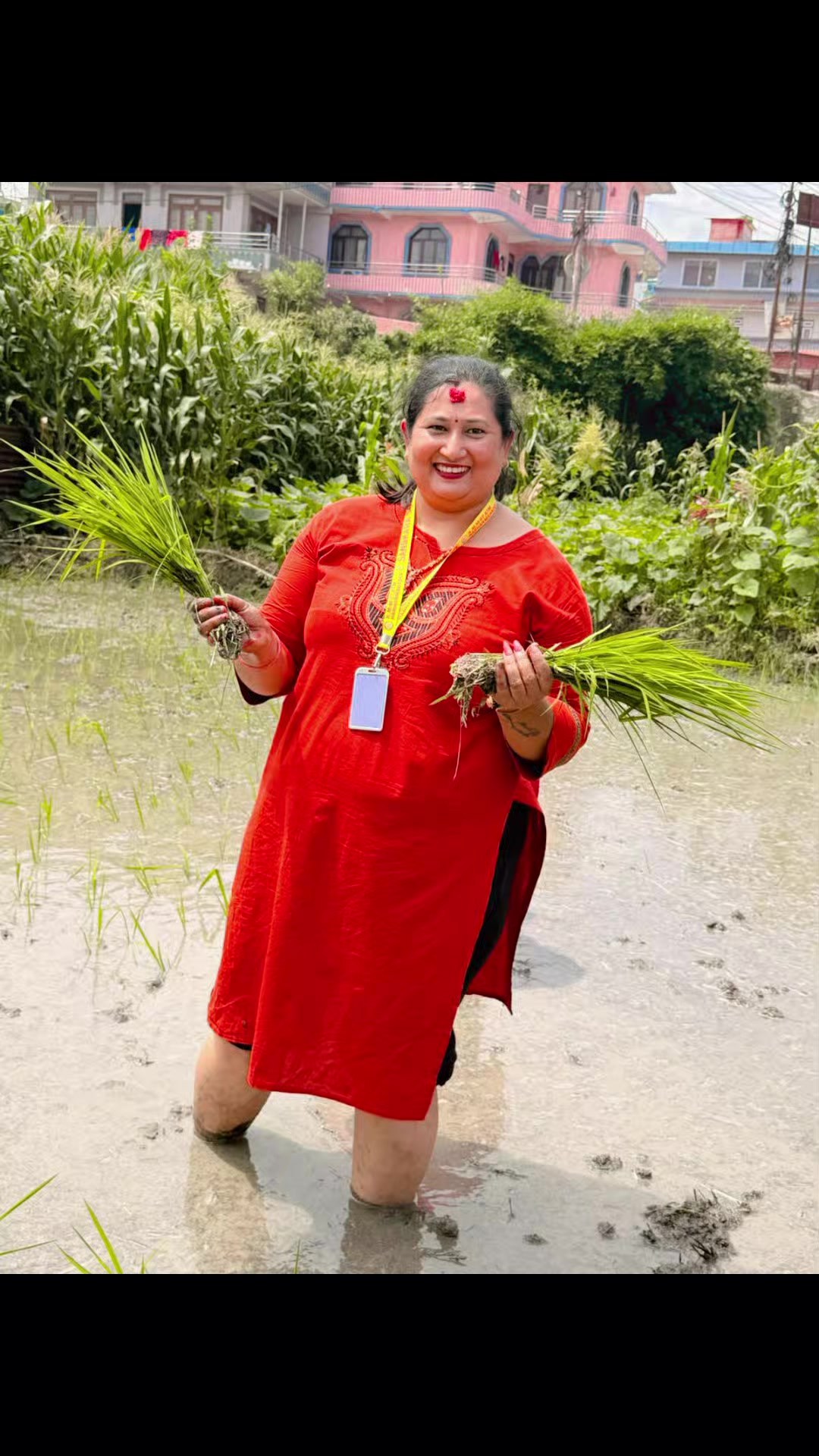 @Laxmi Baniya Pokhare