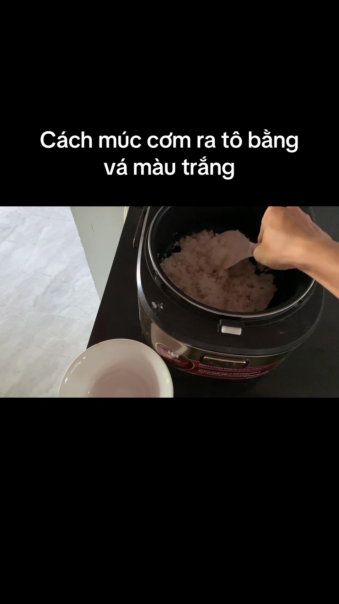 @Mèo thông thái