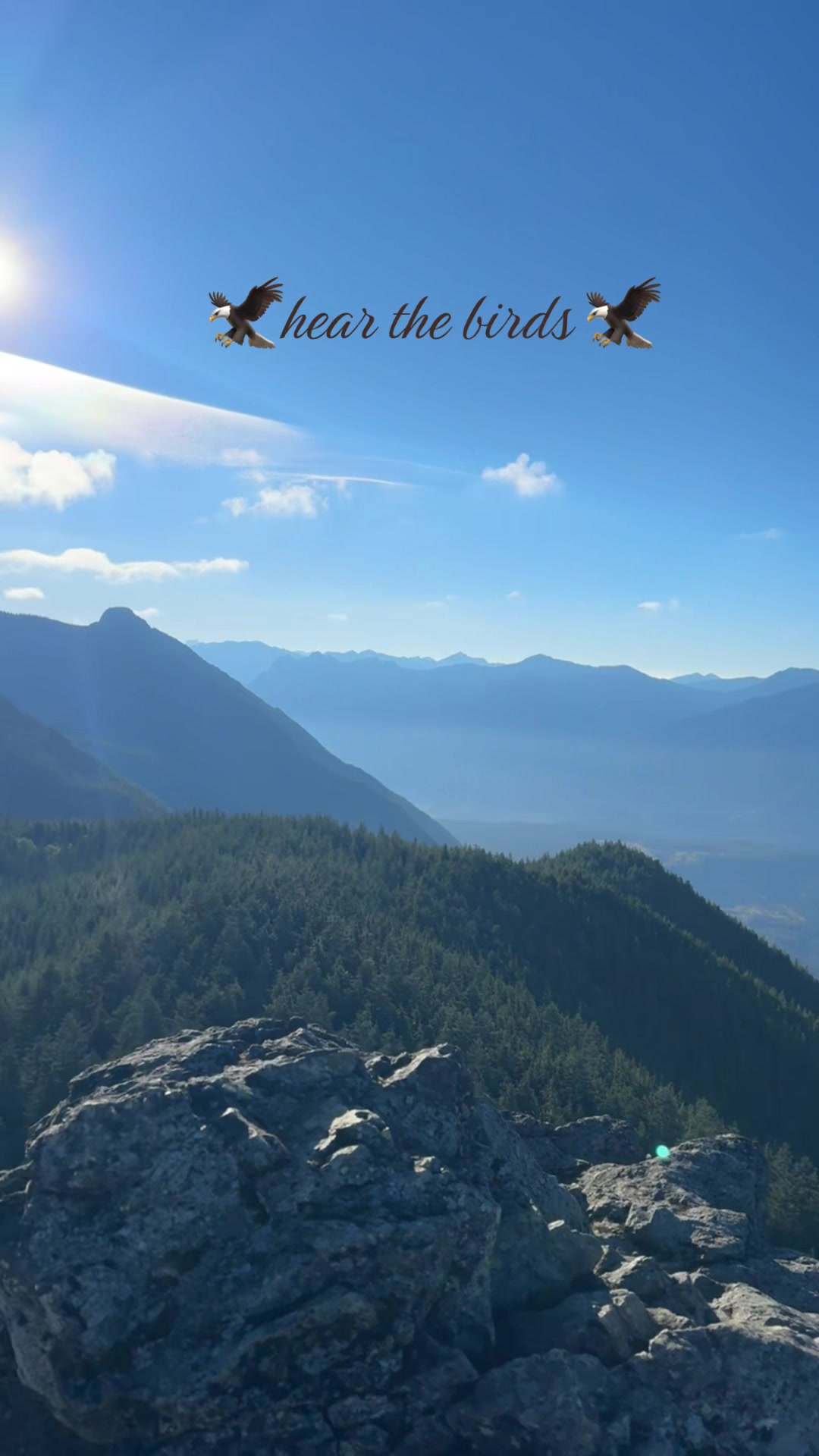 @kårłÿ