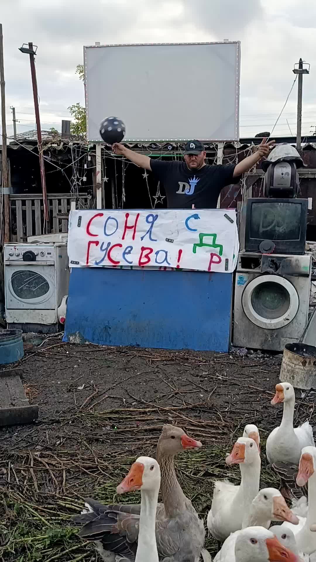 @весёлые поздравления с гусями