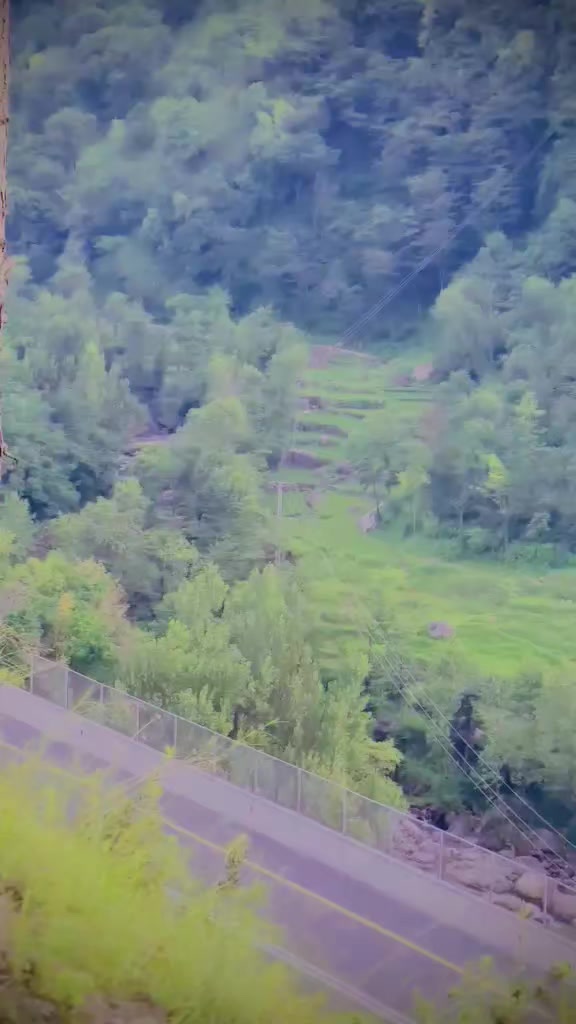 @shafoo_099